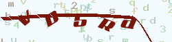 验证码